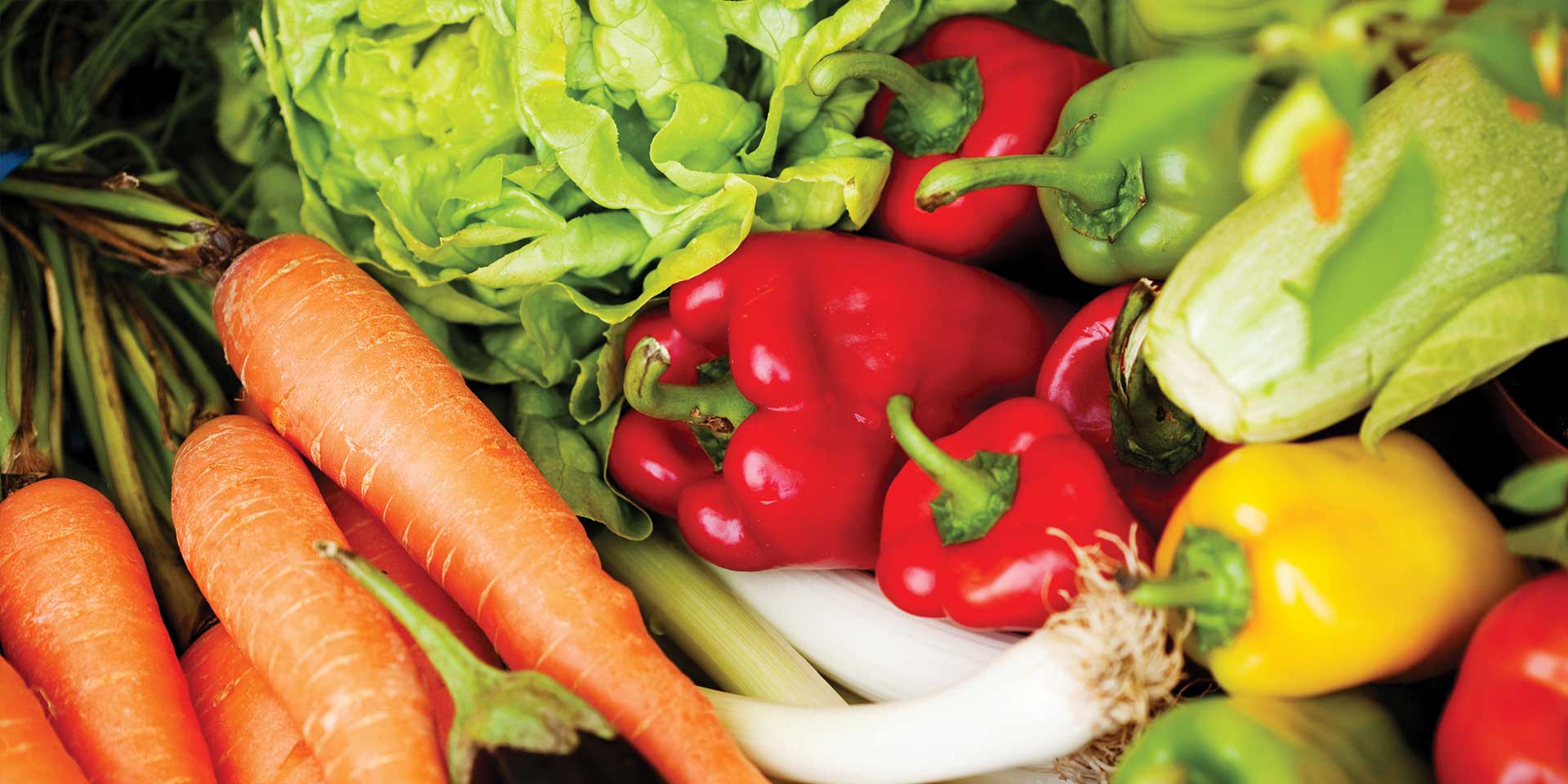 Inoculants pour fruits et légumes AGTIV