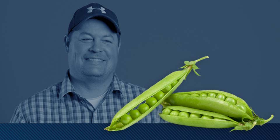 AGTIV makes a difference "for better nutrient uptake and healthier plants which produce more peas".