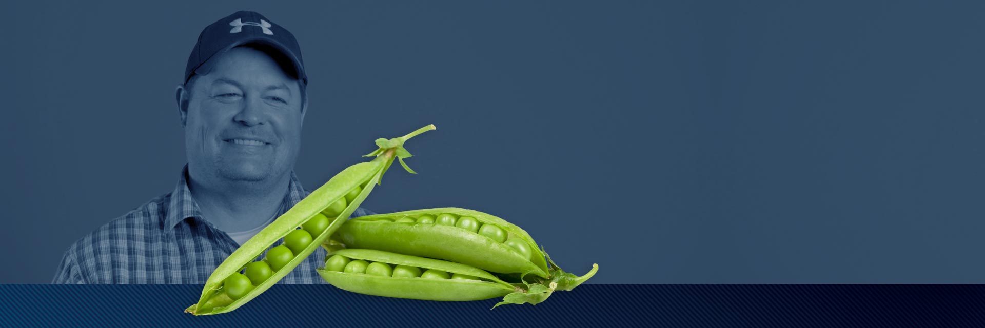 AGTIV makes a difference "for better nutrient uptake and healthier plants which produce more peas".