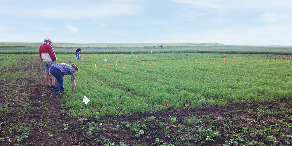 Active Ingredients at the Heart of Innovation at Premier Tech