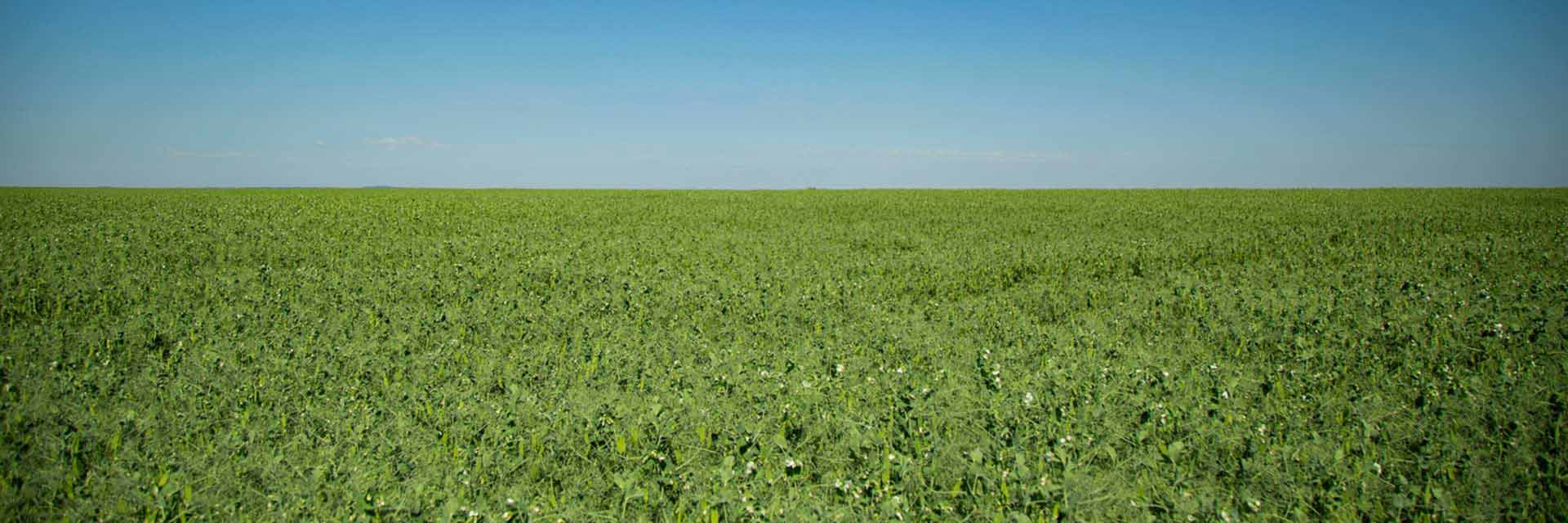 Approved For Use In Organic Agriculture