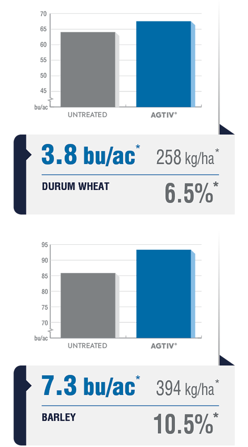 <p><em>The average yield is a comparative analysis of performance datas collected in plots with a field section treated with AGTIV<sup>®</sup> </em><em>and a control section.</em></p>
<p><em>*DURUM WHEAT: +3.8 bu/ac (+6.5%) +258 kg/ha, 12 sites over 7 years, Canada</em></p>
<p><em><em><em><em><em>  BARLEY: +7.3 bu/ac (+10.5%) +394 kg/ha, 28 sites over 6 years, Canada and Europe</em></em></em></em></em></p>
<p><em><em><em>Note: 1 bu/ac = 67.25 kg/ha (wheat) /  1<em><em> bu/ac = 53.8 kg/ha (barley)</em></em></em></em></em></p>
