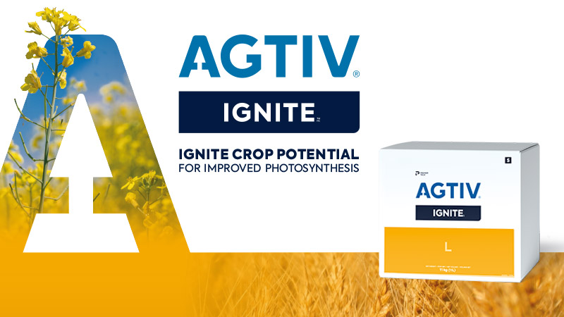 AGTIV IGNITE