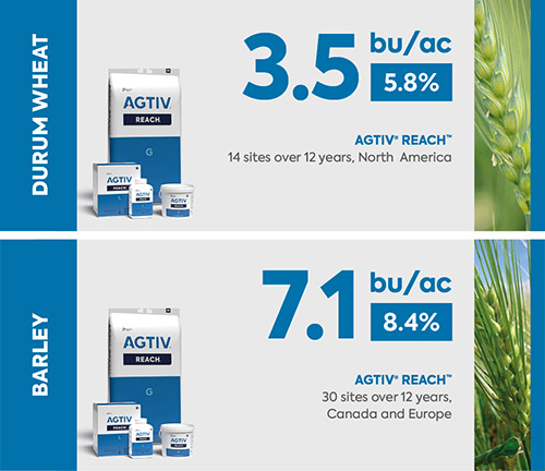 <p><em>*The average yield is a comparative analysis of performance datas collected in plots with a field section treated with AGTIV<sup>®</sup> </em><em>and a control section.</em></p>
<p><em>DURUM WHEAT: +3.5 bu/ac (+5.8%) +237 kg/ha, 14 sites over 12 years, Canada</em></p>
<p><em><em><em><em><em>BARLEY: +7.1 bu/ac (+8.4%) +380 kg/ha, 30 sites over 12 years, Canada and Europe</em></em></em></em></em></p>
<p><em><em><em>Note: 1 bu/ac = 67.25 kg/ha (wheat) /  1<em><em> bu/ac = 53.8 kg/ha (barley)</em></em></em></em></em></p>