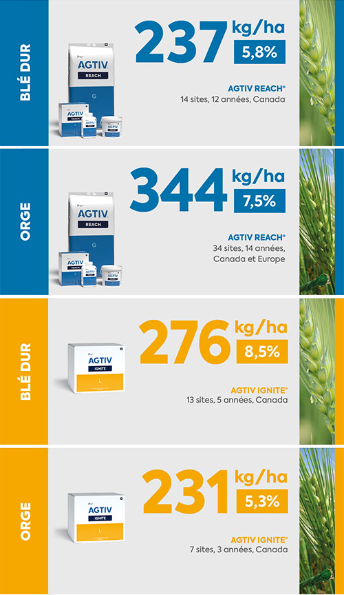 <p><em><em><em><em>*La moyenne de rendement est une analyse comparative des données de performance recueillies dans des parcelles comportant une section de champ traitée avec AGTIV<sup>®</sup> et une section témoin.</em></em></em></em></p>
<p><strong>AGTIV REACH<sup>®</sup> G</strong></p>
<p>BLÉ DUR : +237 kg/ha (+5,8%) +3,5 bu/ac, 14 sites, 12 années, Canada</p>
<p>ORGE : +344 kg/ha (+7,5%) +6,4 bu/ac, 34 sites, 14 années, Canada et Europe</p>
<p><strong>AGTIV IGNITE<sup>®</sup> L</strong></p>
<p>BLÉ DUR : +276 kg/ha (+8,5%) +4,1 bu/ac, 13 sites, 5 années, Canada</p>
<p>ORGE : +231 kg/ha (+5,3%) +4,3 bu/ac, 7 sites, 3 années, Canada</p>
<p></p>
<p><em><em><em><em><em><em><em><em>Note : 1 bu/ac = 67,25 kg/ha (blé) /  1< bu/ac = 53,8 kg/ha (orge)</em></em></em></em></em></em></em></em></p>