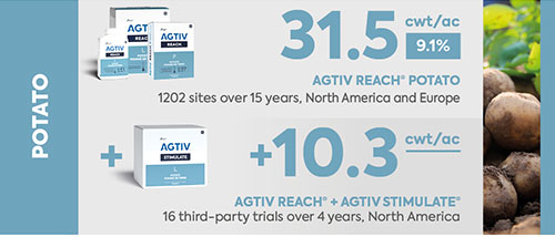 <p><em>* The average yield is a comparative analysis of performance data collected in plots.</em></p>
<p>​AGTIV REACH vs control section:</p>
<p>+31.5 cwt/ac (+9.1%), 1202 sites over 15 years, North America and Europe</p>
<p>AGTIV STIMULATE AND AGTIV REACH VS AGTIV REACH ALONE:</p>
<p>+10.3 cwt/ac, 16 third-party trials sites over 4 years, North America</p>
<p></p>